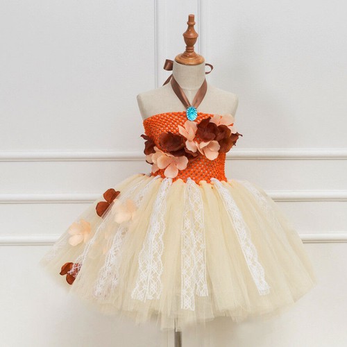 Costume tutù principessa